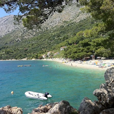 Apartments Vile Holiday Živogošće Exterior foto